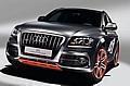 Audi Q5 Custom Concept. Foto: Auto-Reporter/Audi